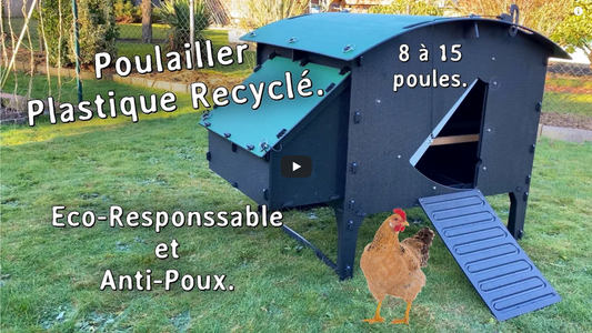 Poultry Breeder Papy Nounn Reviews our Lodge chicken coop