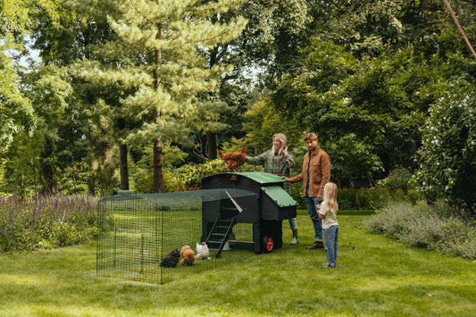 image-thumbnail+7--img-thumbnail--Raised/L (8-15 hens)