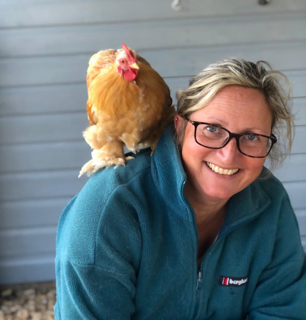 Was sagen die Experten über Nestera Hühnerställe?