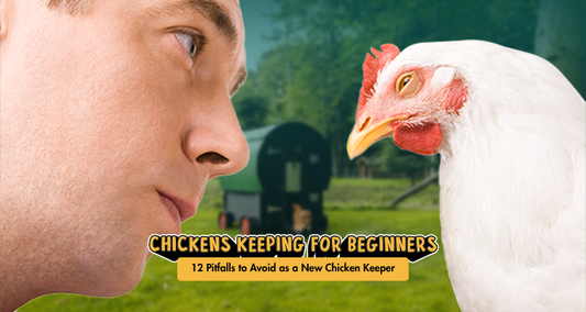 12 Pitfalls to Avoid as a New Chicken Keeper