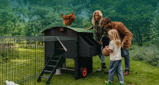 7 ways to cover your poultry run