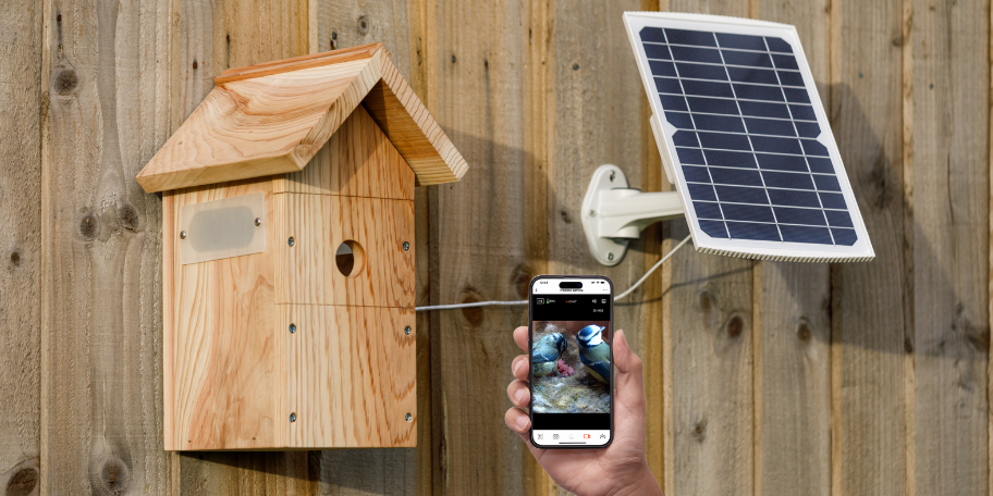 Vogelbeobachtung aus nächster Nähe mit unserem neuen drahtlosen Vogelhaus-Kamerasystem&nbsp;&nbsp;