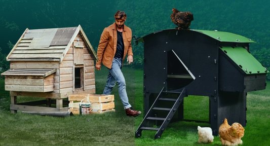 10 Reasons Why Cheap Wooden Chicken Coops Are a Bad Idea