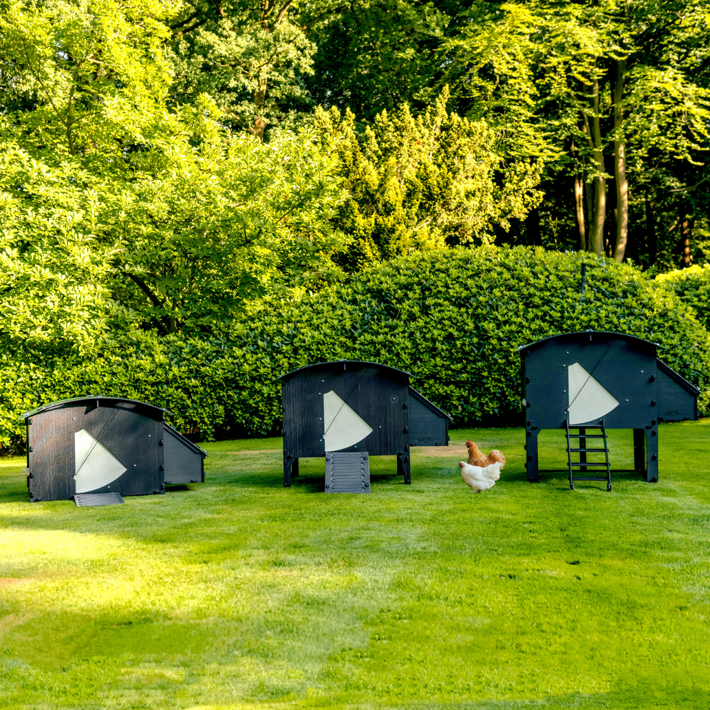 Was ist ein Hühnerstall und welche Größe sollte er haben?